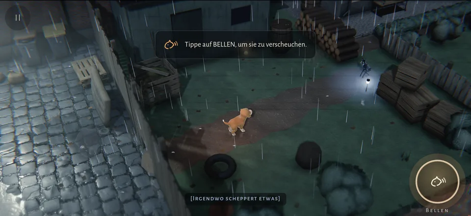 Im nassen Hinterhof versperrt eine Katze mit leuchtenden Augen den Weg; der Hinweis rät, sie mit Bellen zu verscheuchen.