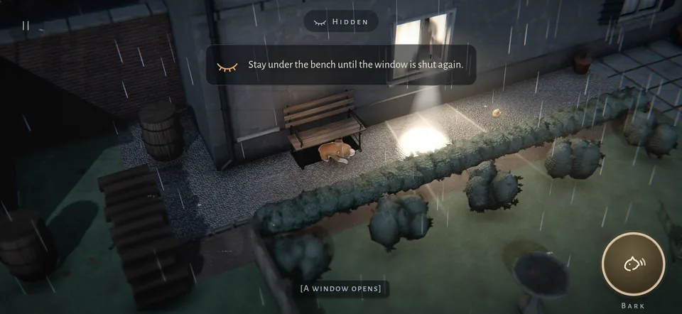 The little dog lies hidden under a bench while a flashlight from the kitchen window searches the gravel path.