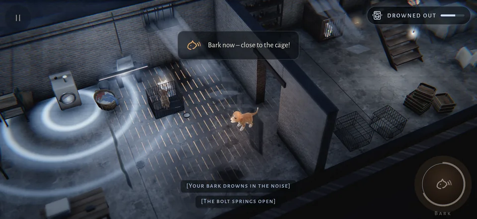 While the washing machine spins, the bark is drowned out – and the bolt of a cage springs open.