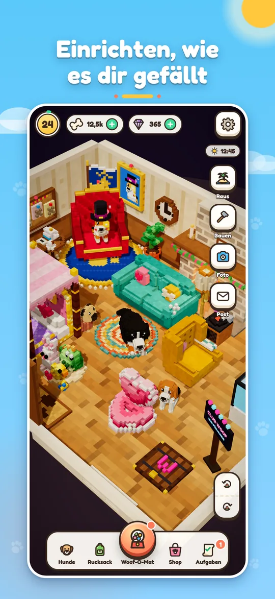 Bellos Haus, eingerichtet mit Sofa, Teppichen und Hundebetten.