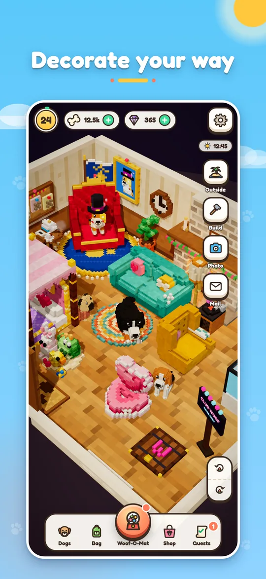 Bello's house, decorated with a sofa, rugs and dog beds.