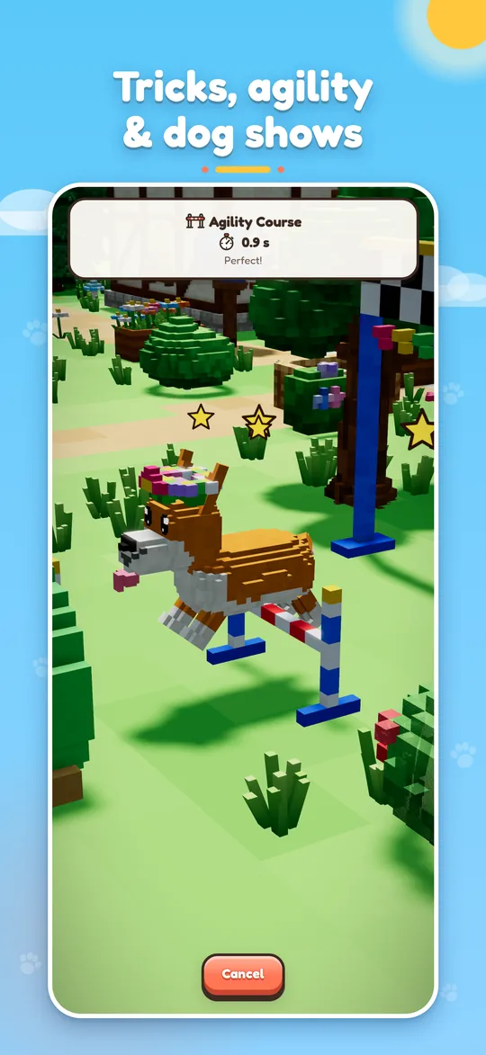 A corgi jumps a hurdle on the agility course.